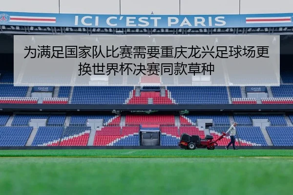 为满足国家队比赛需要重庆龙兴足球场更换世界杯决赛同款草种